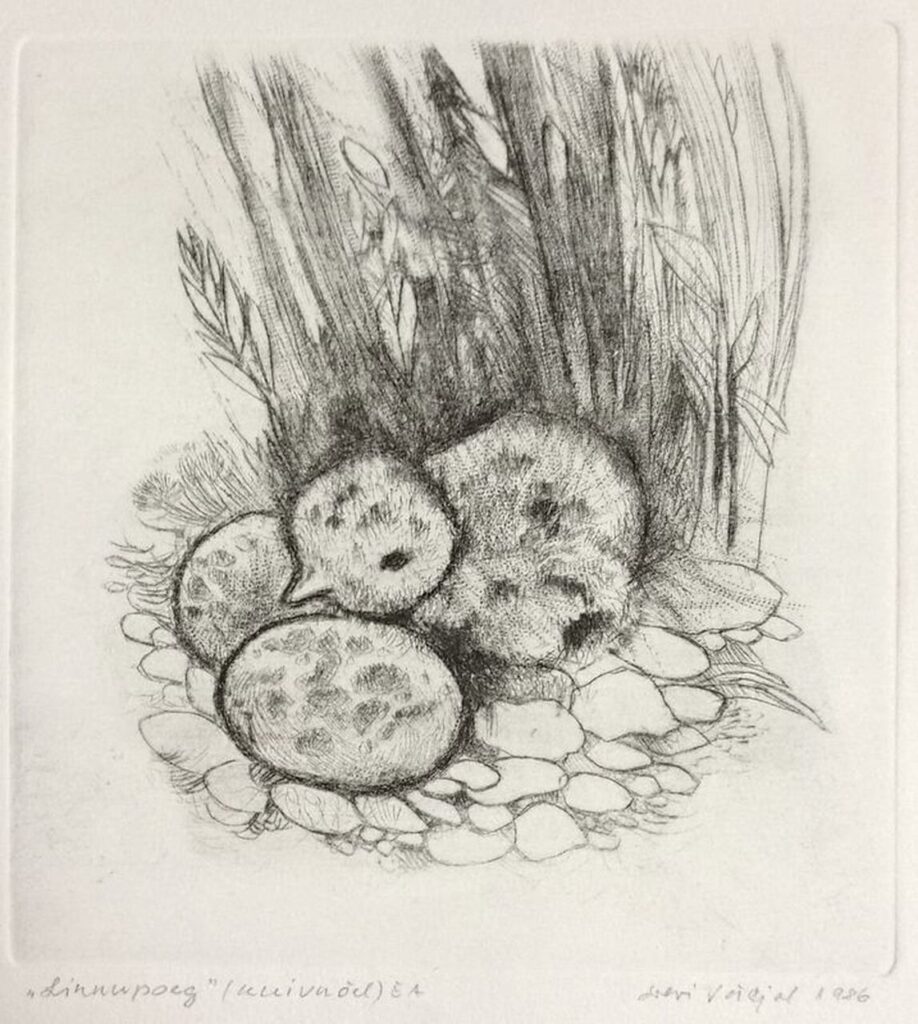 "Linnupoeg", 1986
