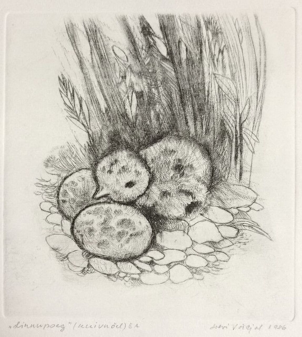 “Linnupoeg”, 1986
