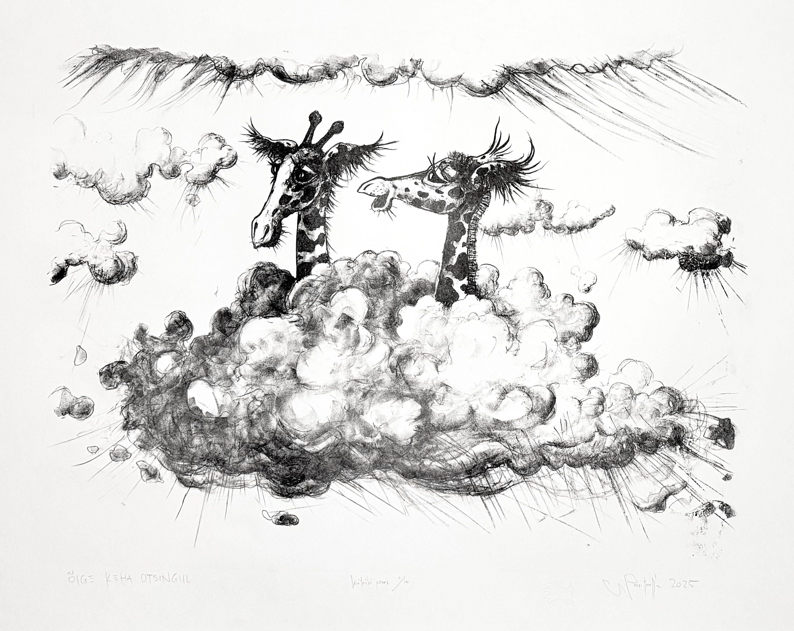 NAVITROLLA Eesti Kunst Graafika Litograafia Sümbolism Kaasaegne kunst