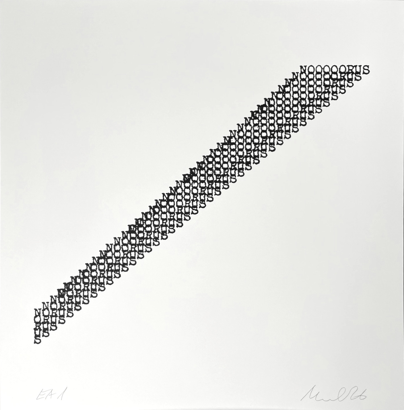 “Noorus”, 2026